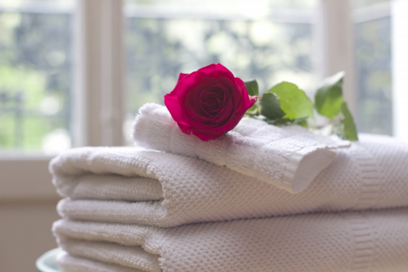 hotel-VILLENEUVE D ENTRAUNES-min_towel_rose_clean_care_salon_spa_white_bath-731641